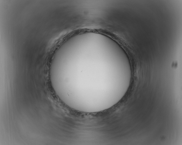X0000110941398200906191039