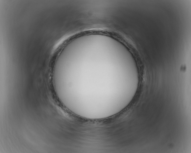 X0000110941400200906191039