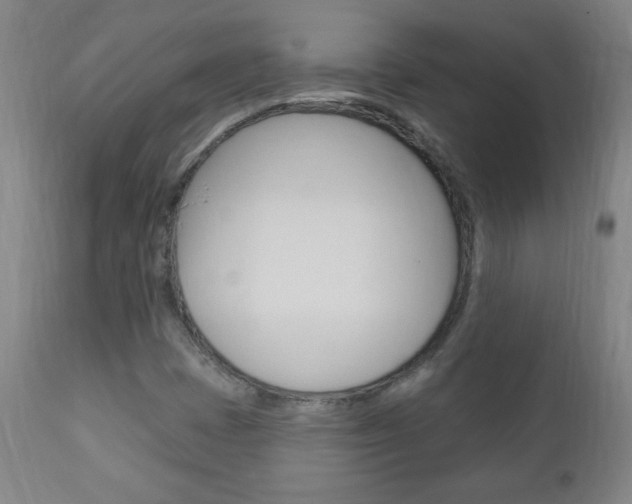 X0000110941401200906191039