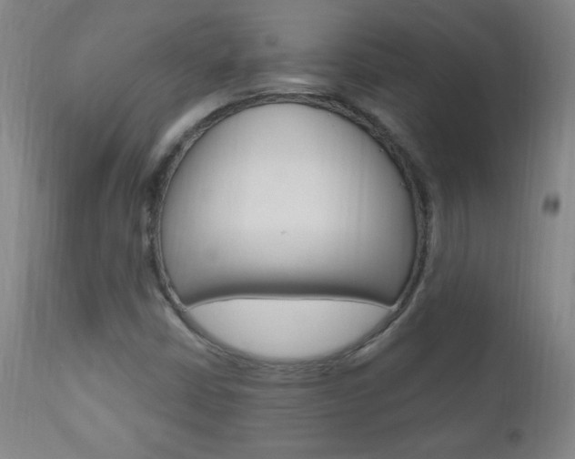 X0000110941402200906191039