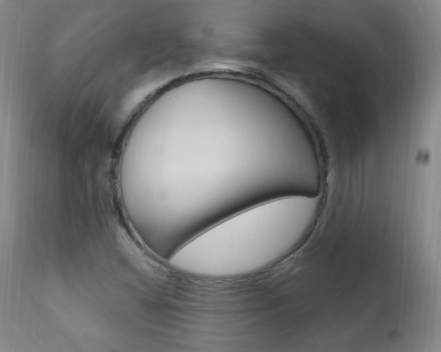 X0000110941404200906191039