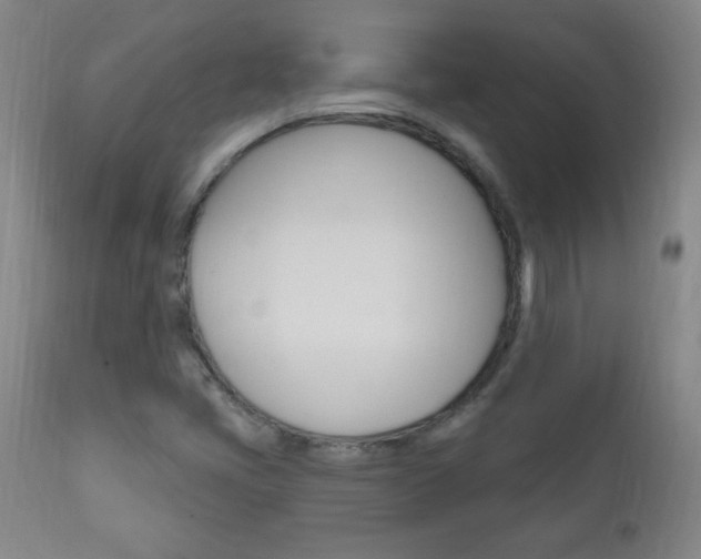 X0000110941405200906191039