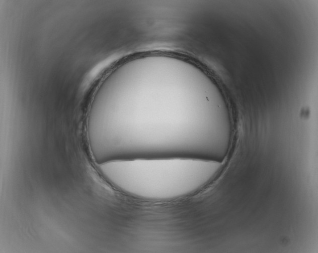 X0000110941406200906191039