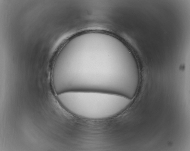 X0000110941408200906191039