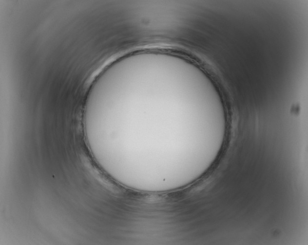 X0000110941409200906191039