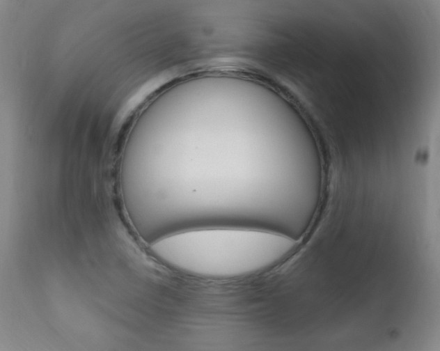 X0000110941410200906191039