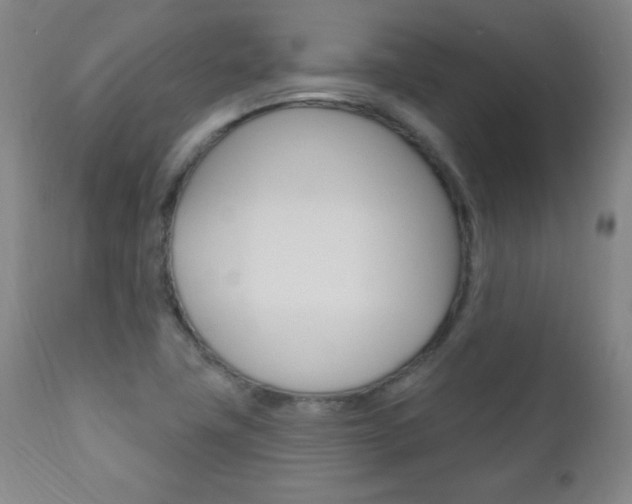 X0000110941411200906191039