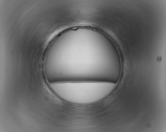 X0000110941412200906191039