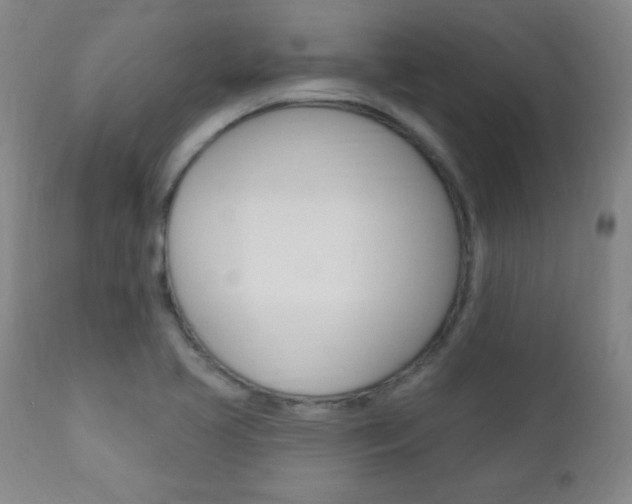 X0000110941413200906191039