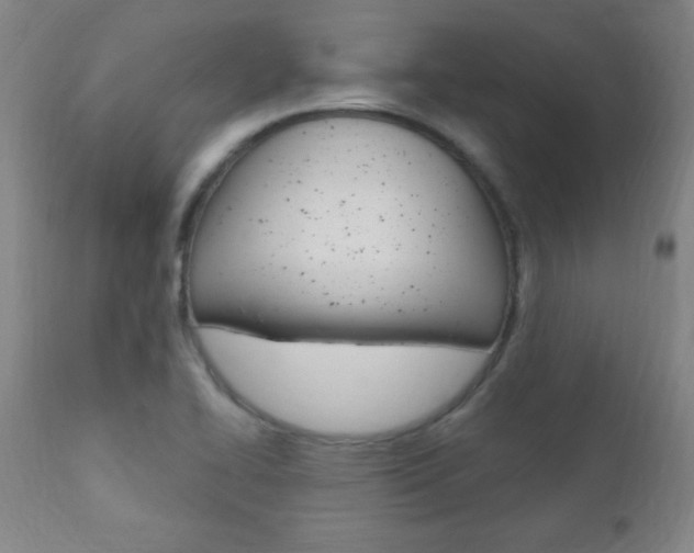 X0000110941414200906191039