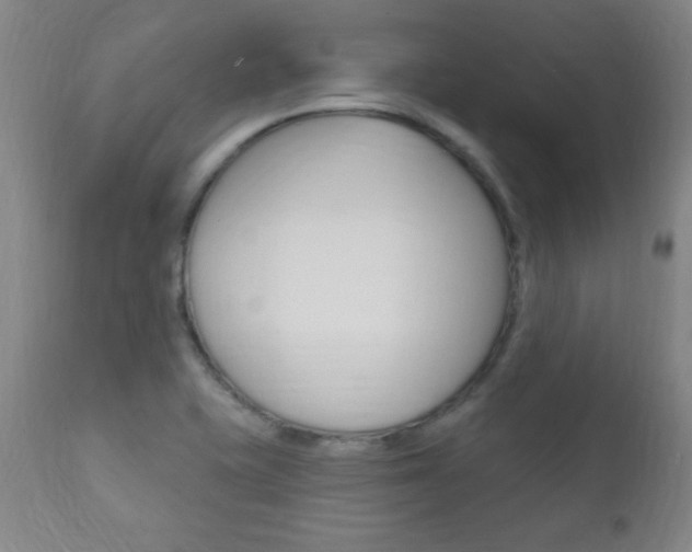 X0000110941415200906191039