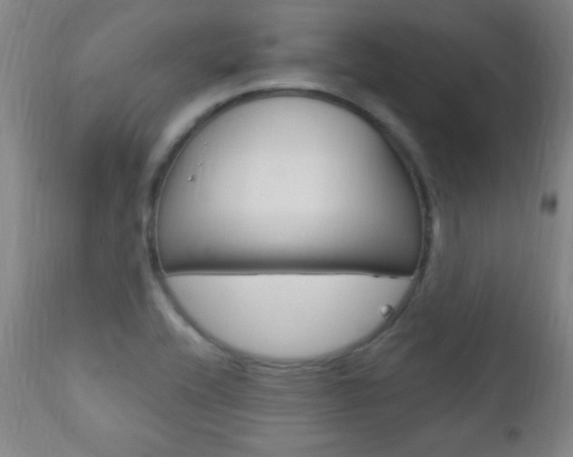 X0000110941416200906191039