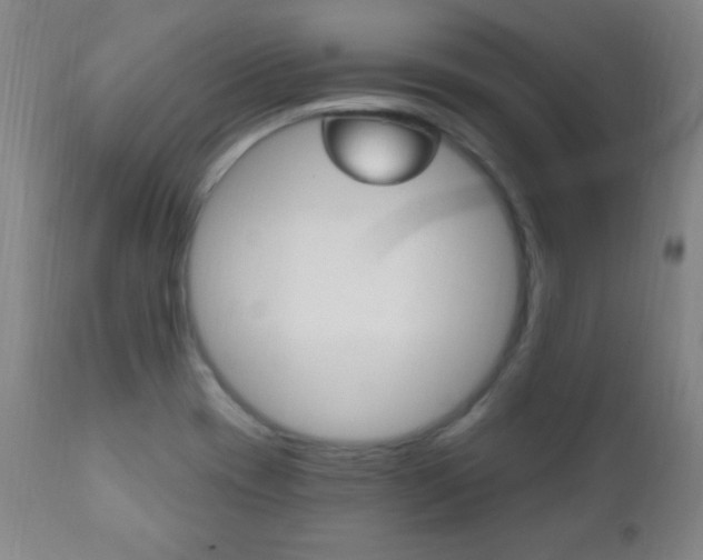 X0000110941417200906191039