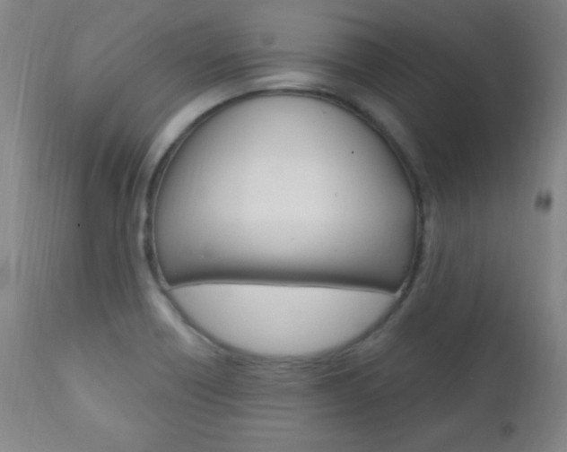 X0000110941418200906191039