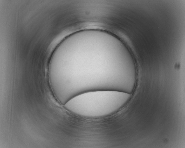 X0000110941419200906191039