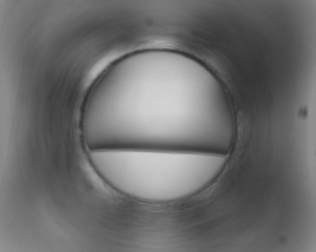 X0000110941422200906191039