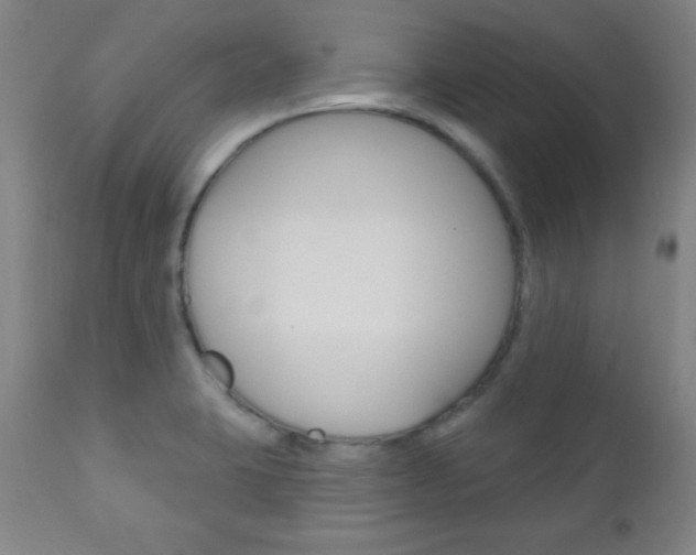 X0000110941423200906191039