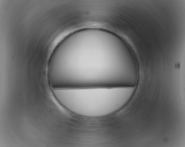 X0000110941424200906191039