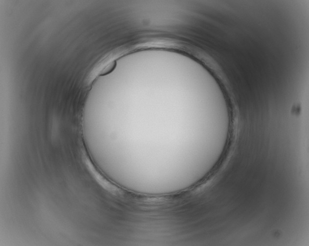 X0000110941425200906191039