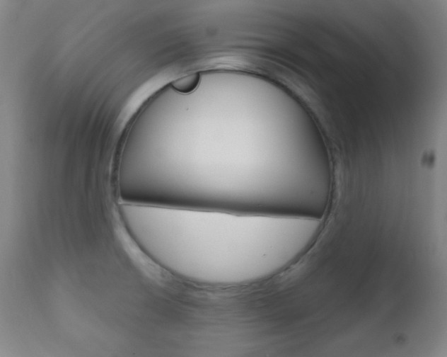 X0000110941426200906191039