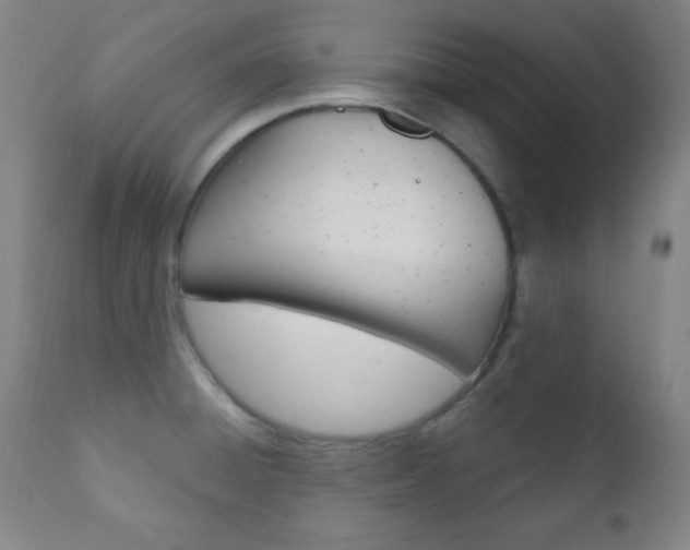 X0000110941428200906191040