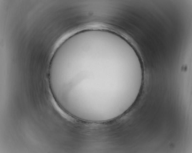 X0000110941429200906191040