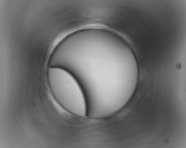 X0000110941430200906191040