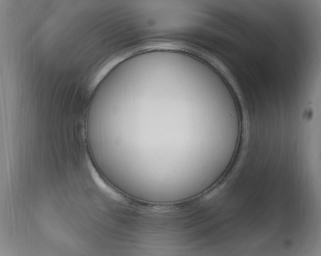 X0000110941433200906191040