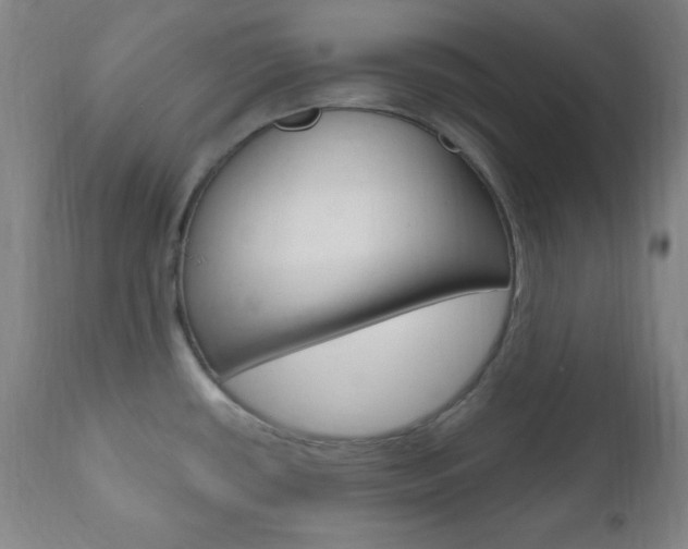 X0000110941434200906191040