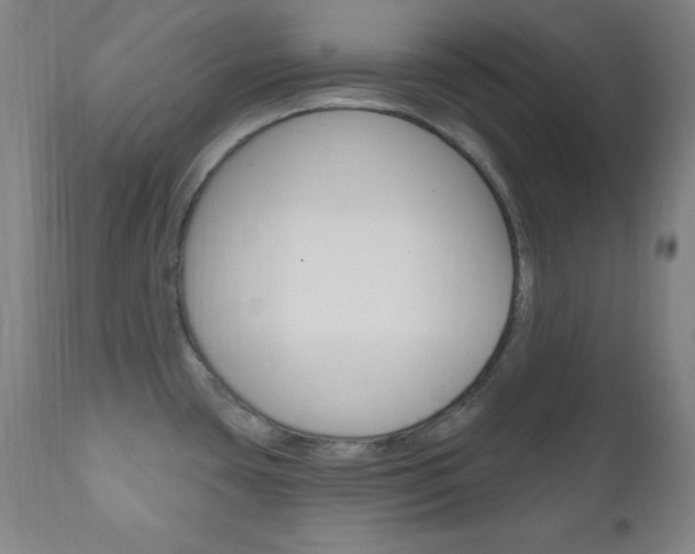 X0000110941435200906191040