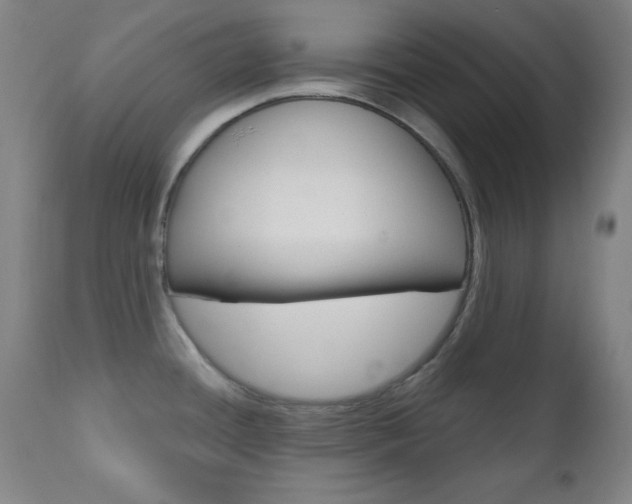 X0000110941436200906191040
