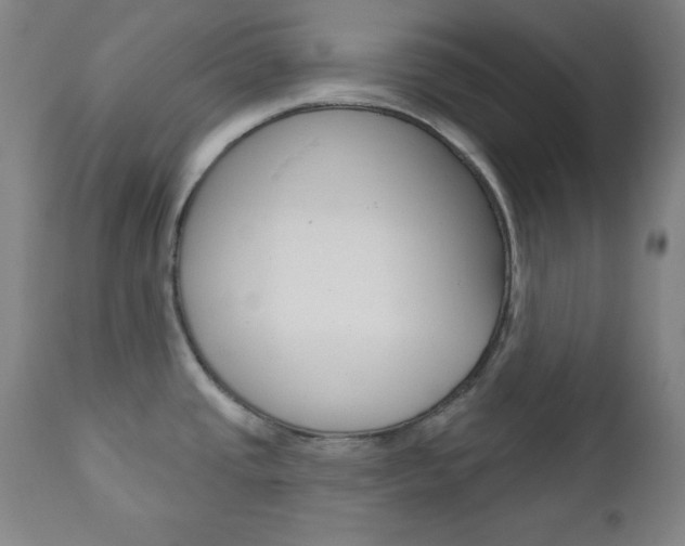 X0000110941437200906191040