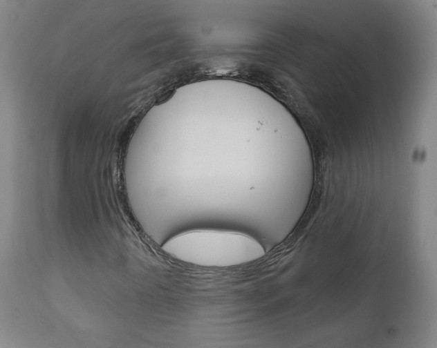 X0000110941442200906191039