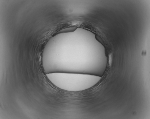 X0000110941443200906191039
