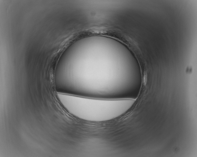 X0000110941444200906191039