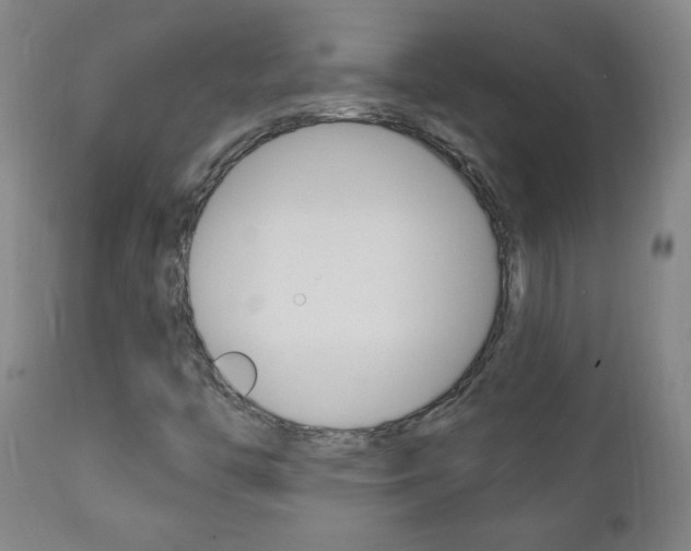 X0000110941446200906191039
