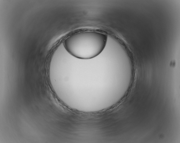 X0000110941448200906191039