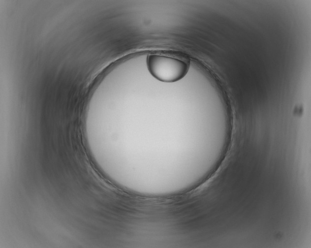 X0000110941449200906191039