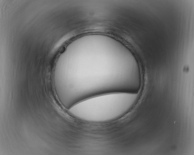 X0000110941450200906191039