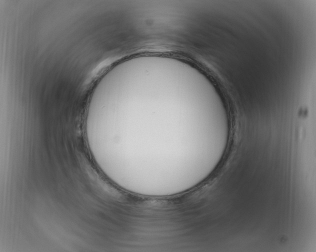 X0000110941451200906191039