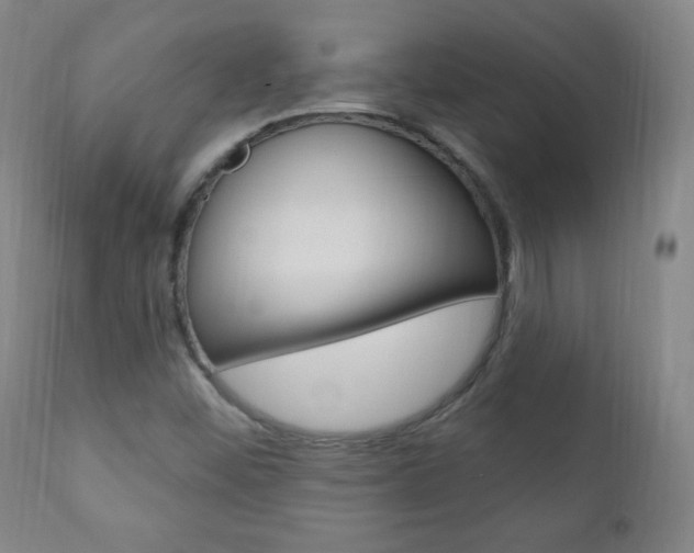 X0000110941452200906191039