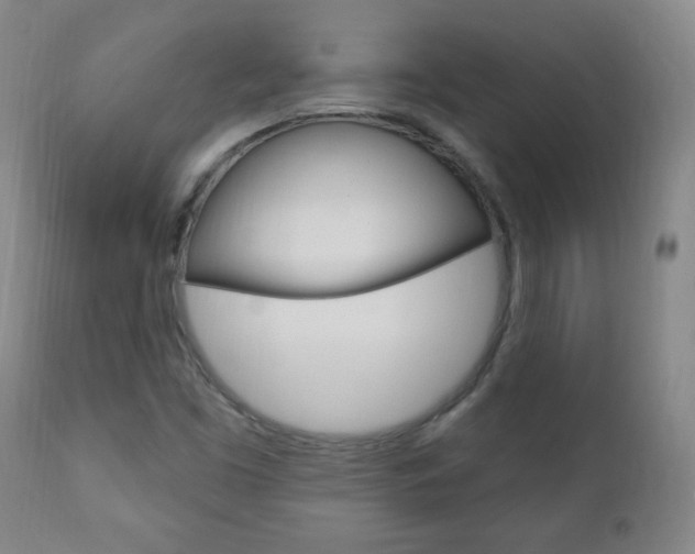 X0000110941453200906191039