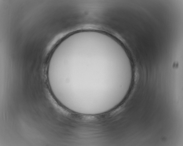 X0000110941454200906191039