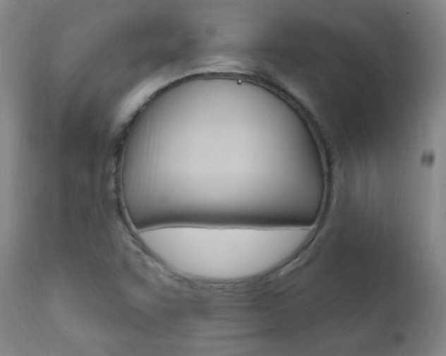 X0000110941455200906191039