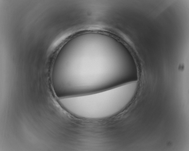 X0000110941456200906191039