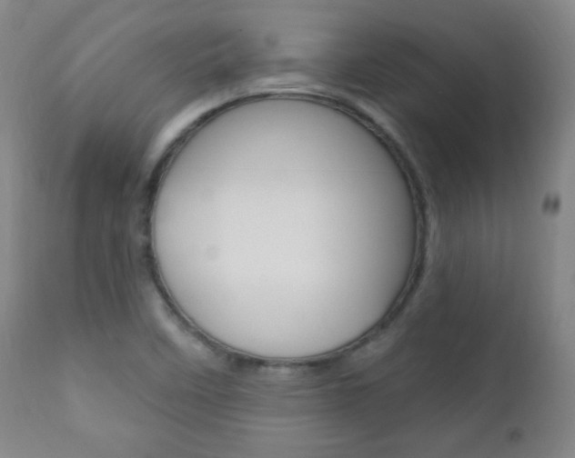 X0000110941458200906191039