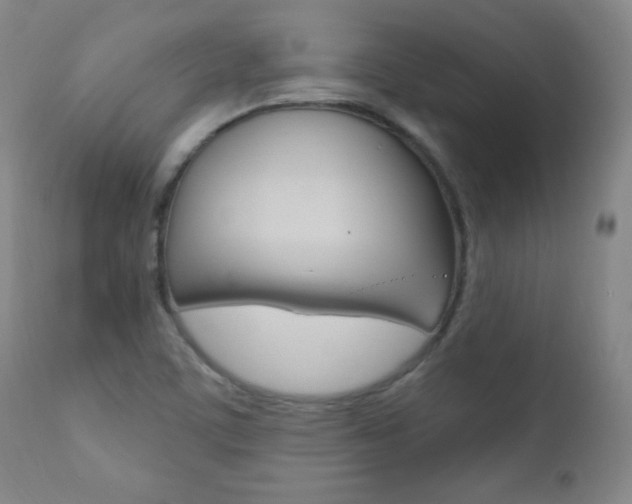 X0000110941459200906191039