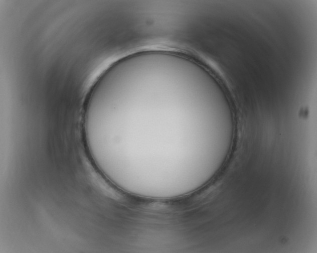 X0000110941463200906191039