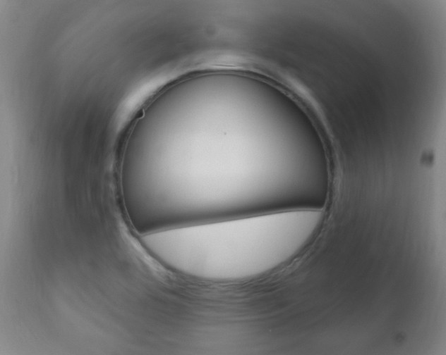 X0000110941464200906191039