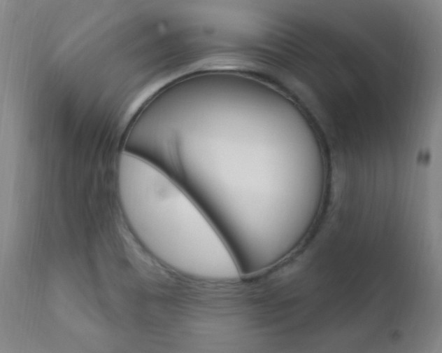 X0000110941465200906191039